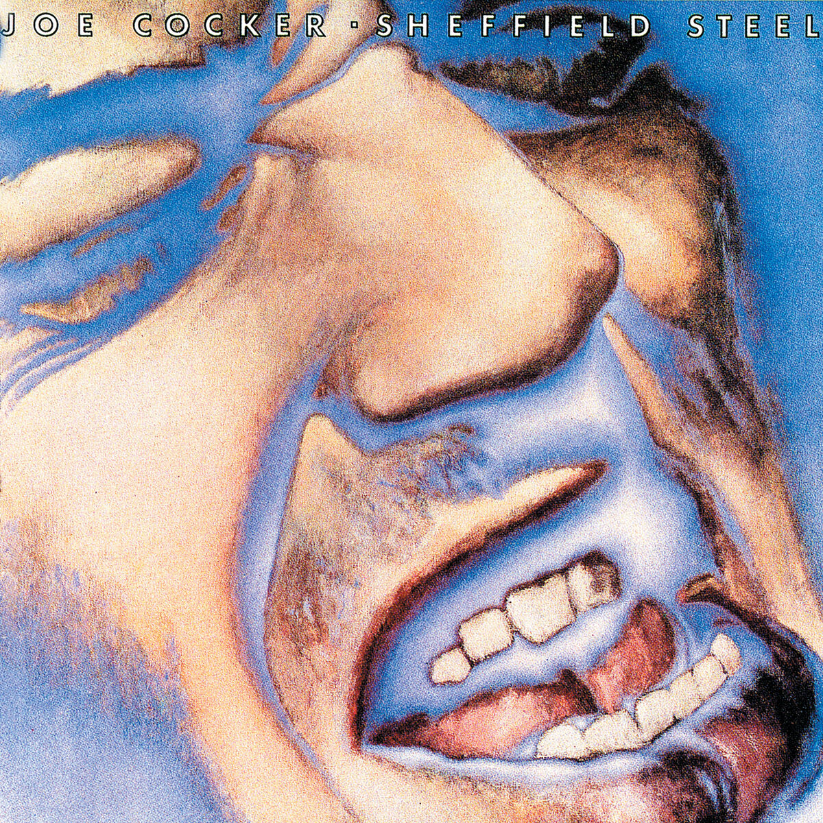 Album cover of Sheffield Steel