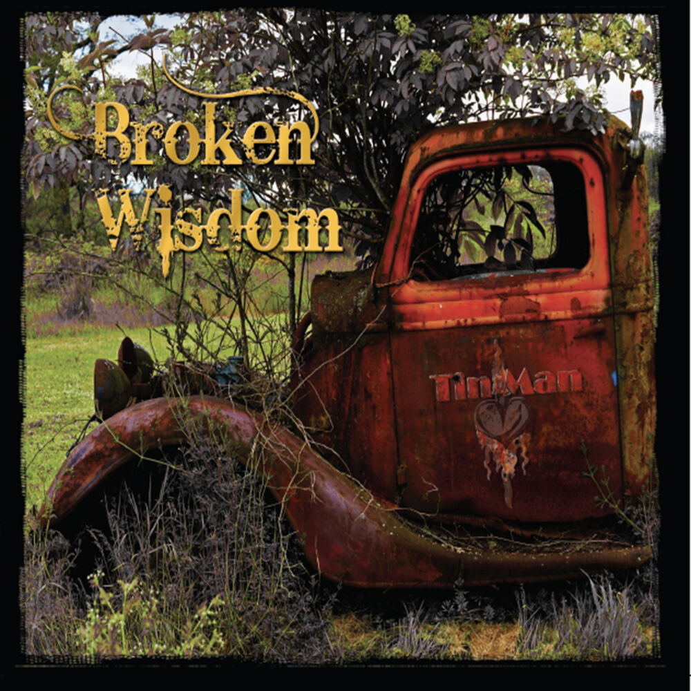 Picture of Broken Wisdom