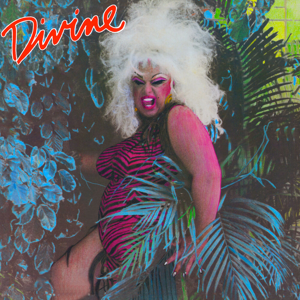 Picture of My First Album