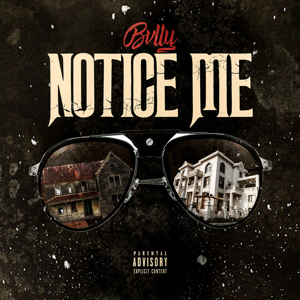 Picture of Notice Me
