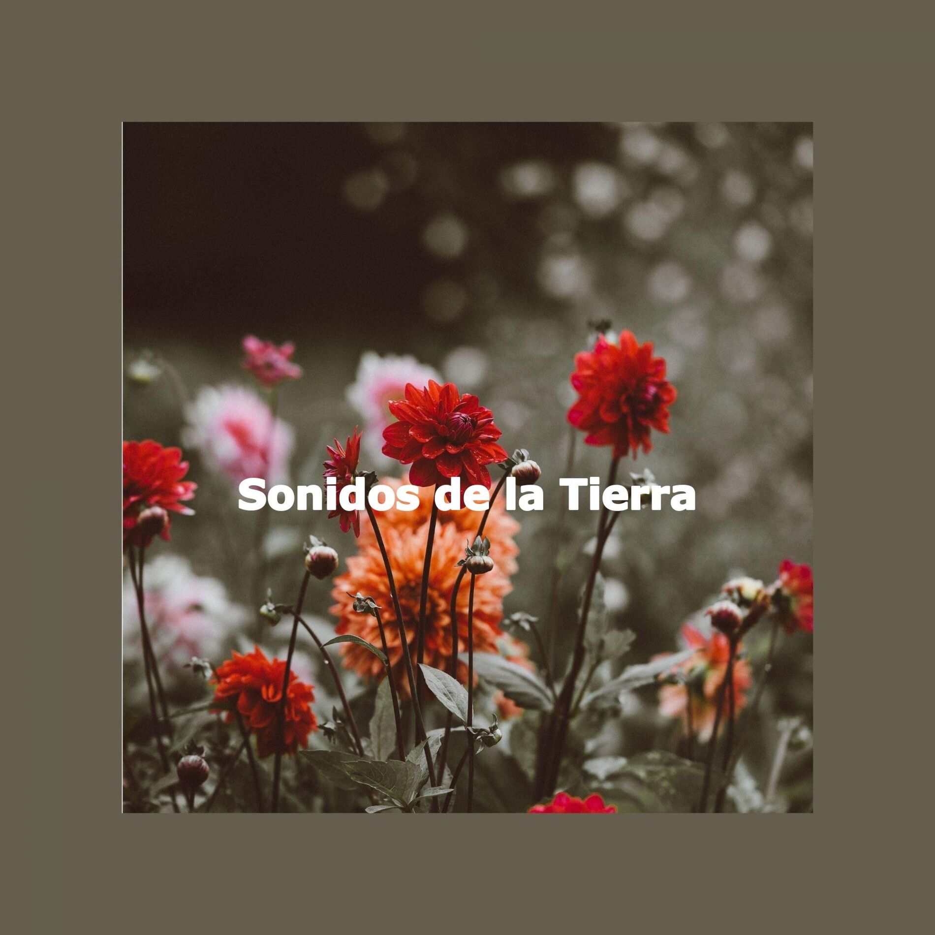 Album cover of Distinguished Ambiance for Sunday Morning Expressions