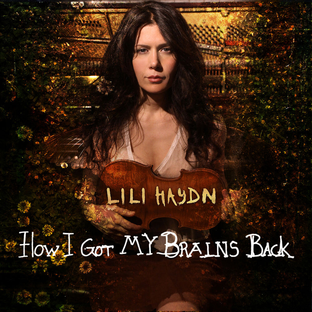 Picture of How I Got My Brains Back