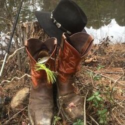 Cover of Downtown Country