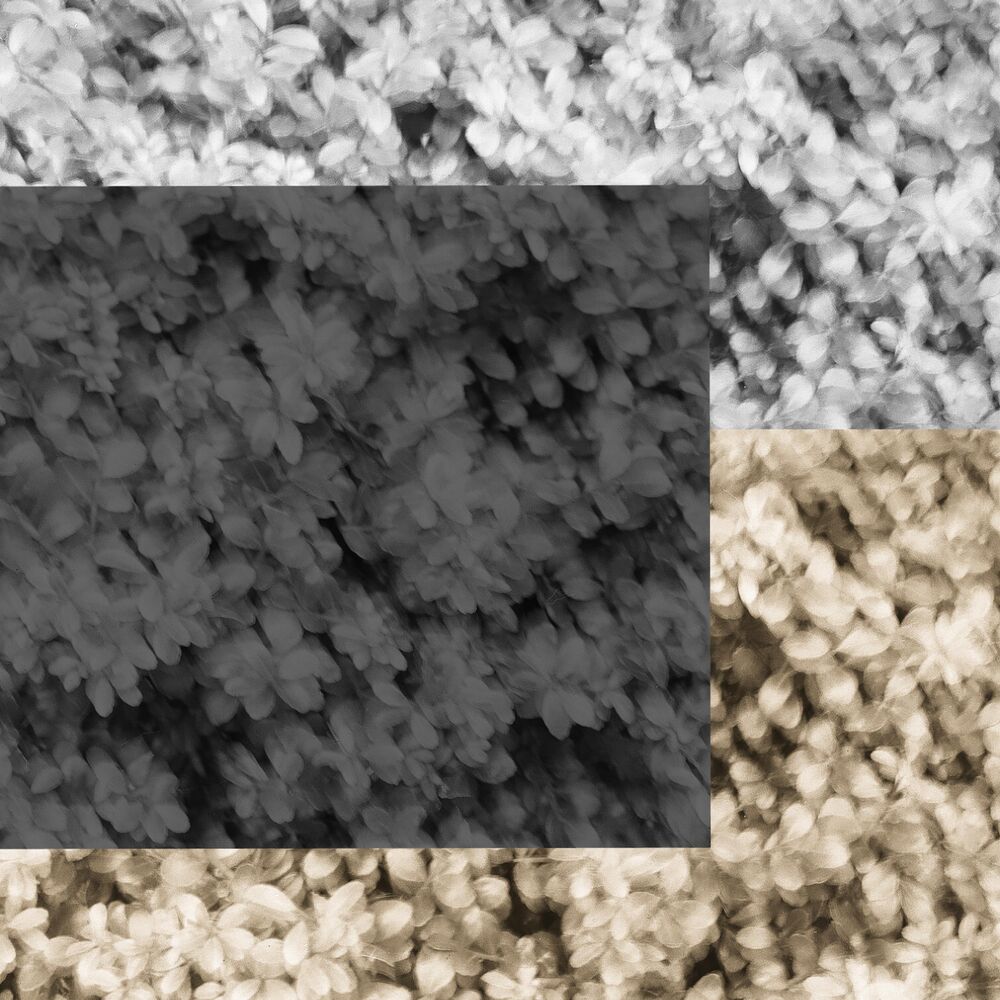 Picture of Further