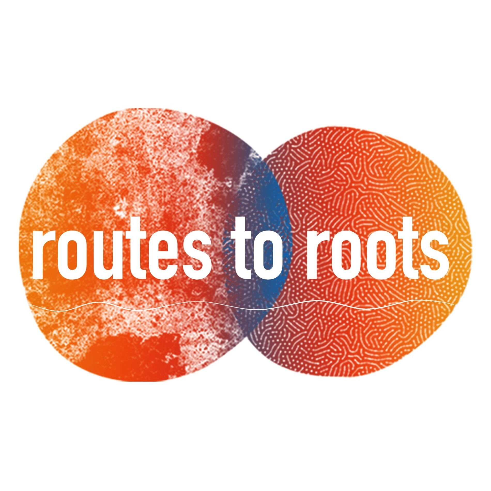 Album cover of Routes to Roots