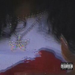 Cover of Shirt