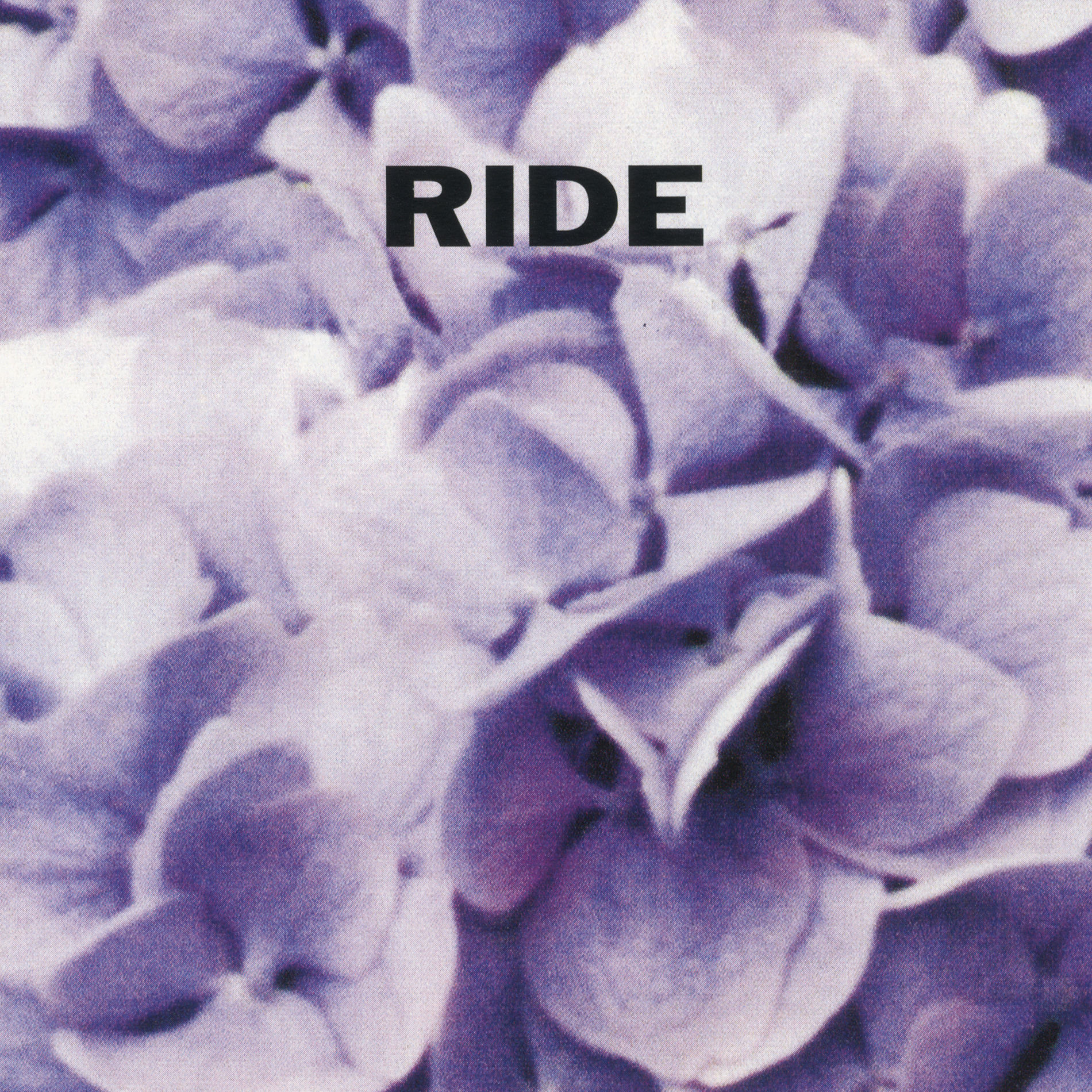Album cover of Drive Blind