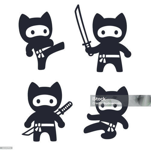 Golpe de ninja artwork