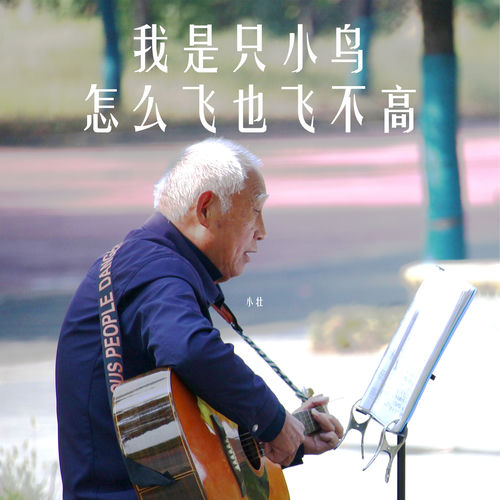 我是只小鸟怎么飞也飞不高
