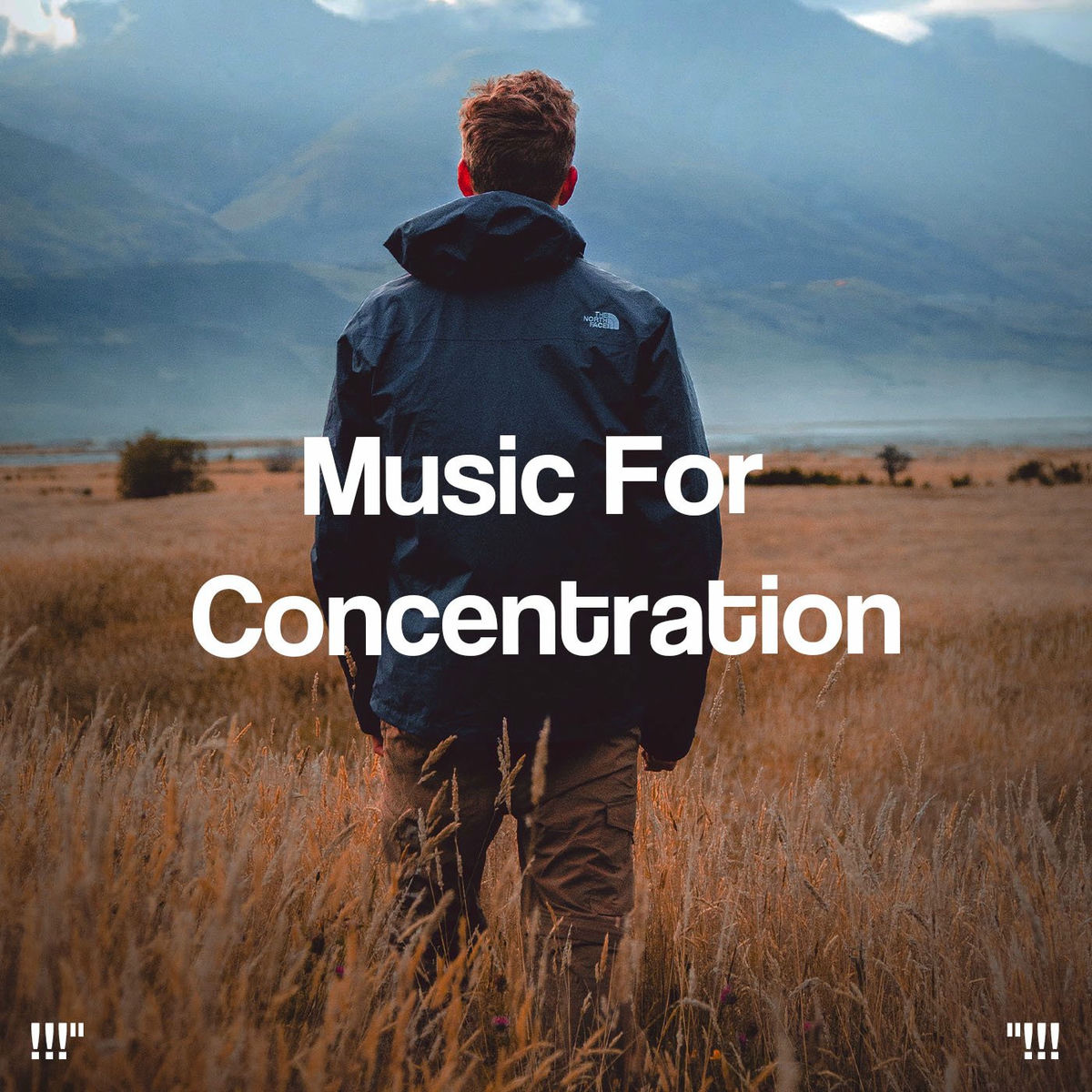 Album cover of !!!