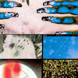Cover of Walk Out
