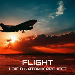 Cover of Flight