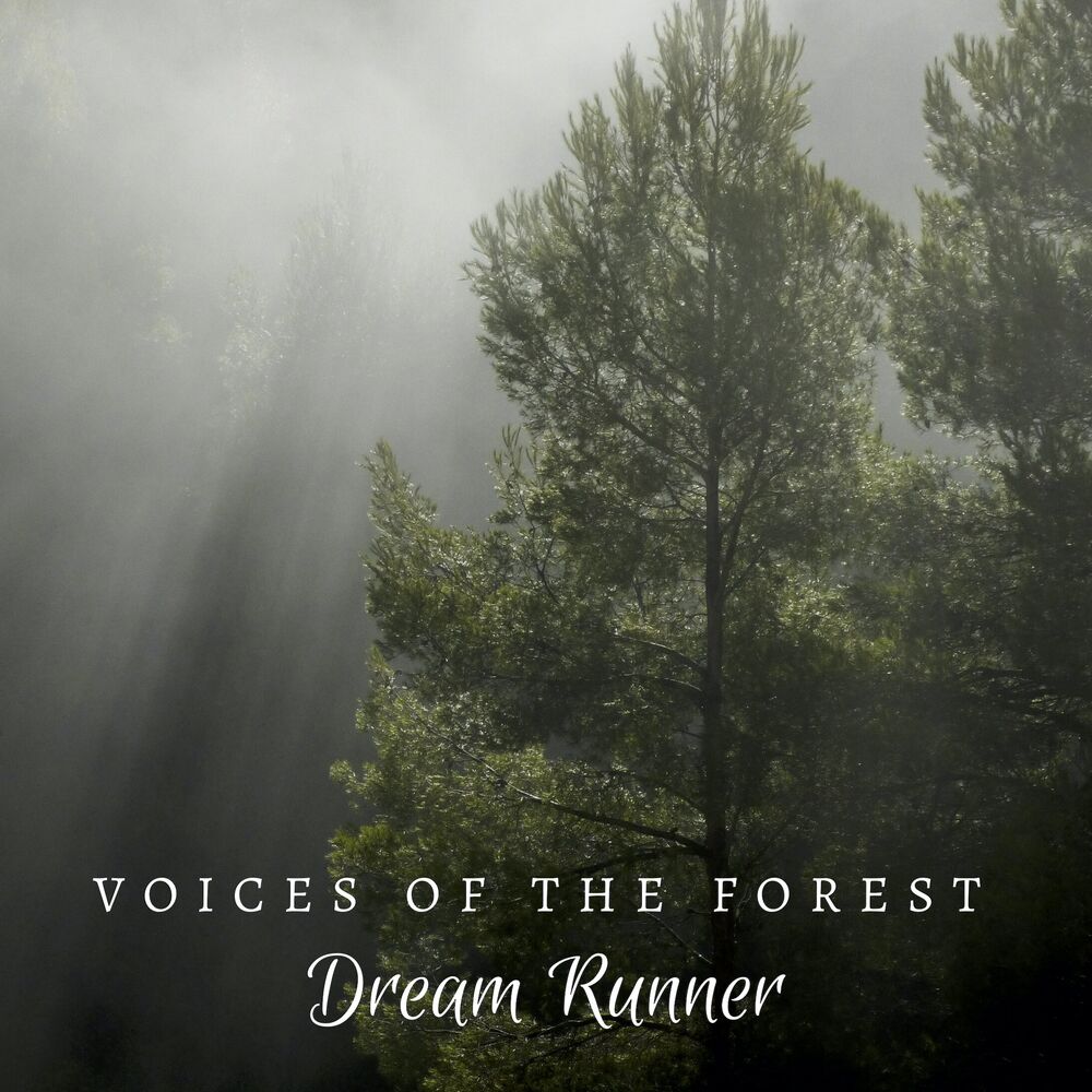 Picture of Voices of the Forest