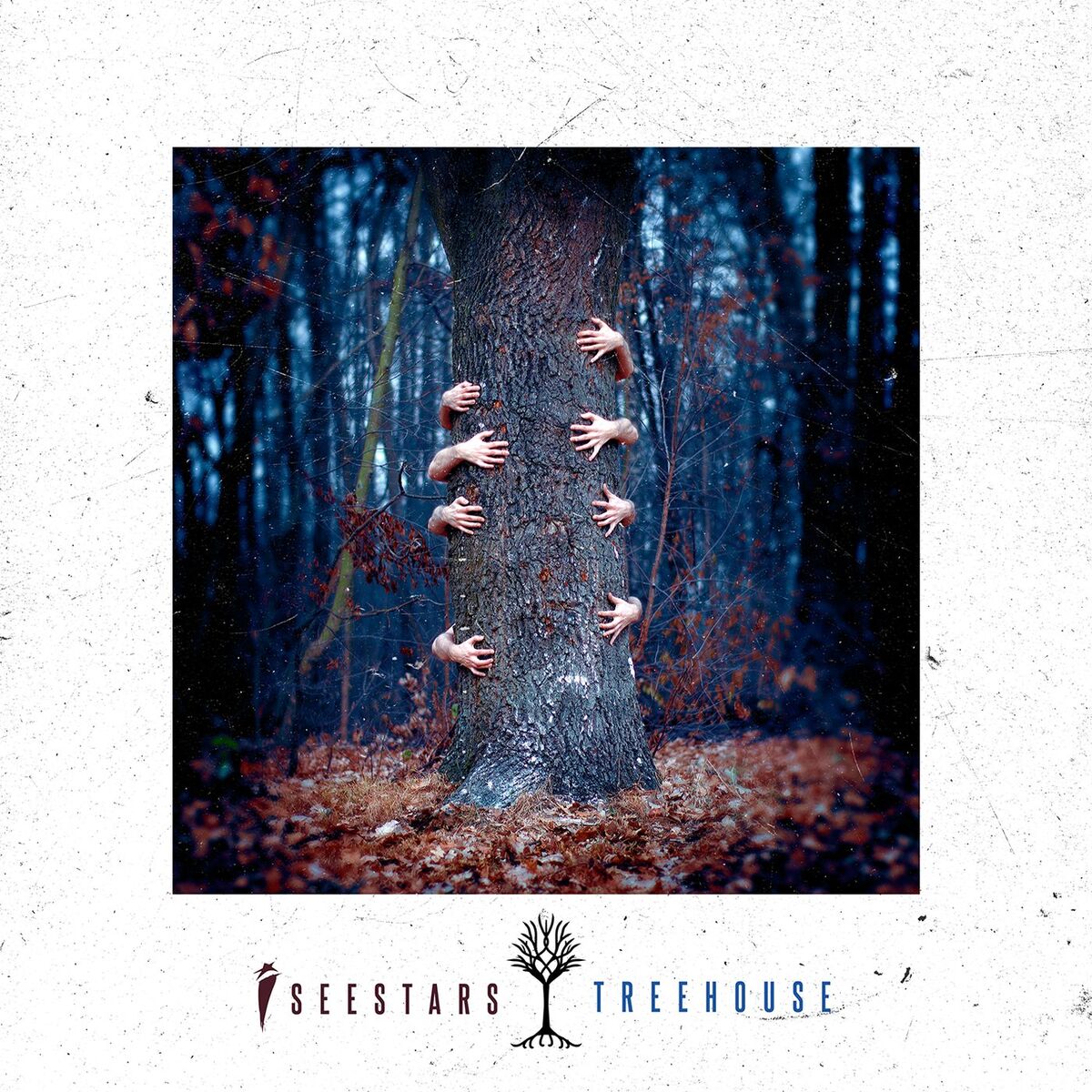 Album cover of Running With Scissors