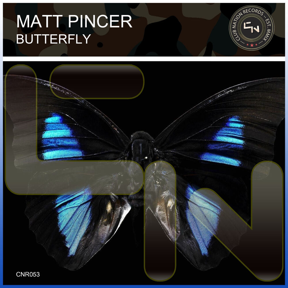 Picture of Butterfly