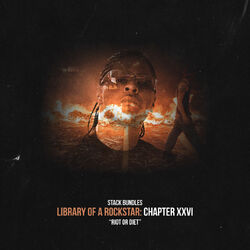 Cover of Library of a Rockstar: Chapter 26 - Riot or Diet