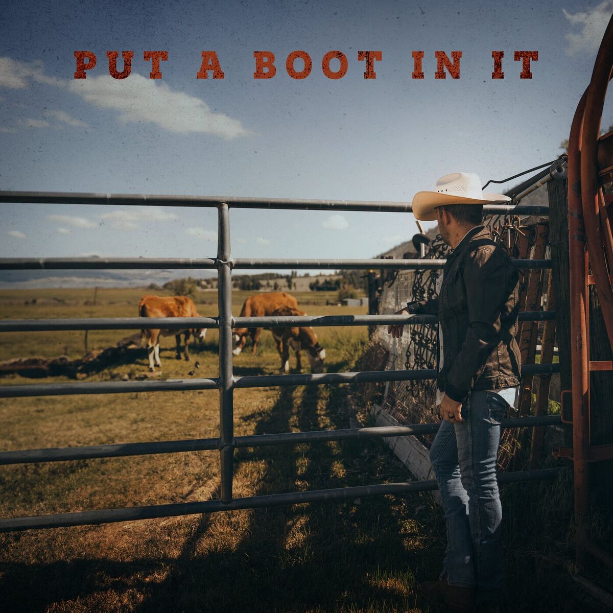 Album cover of Put A Boot In It