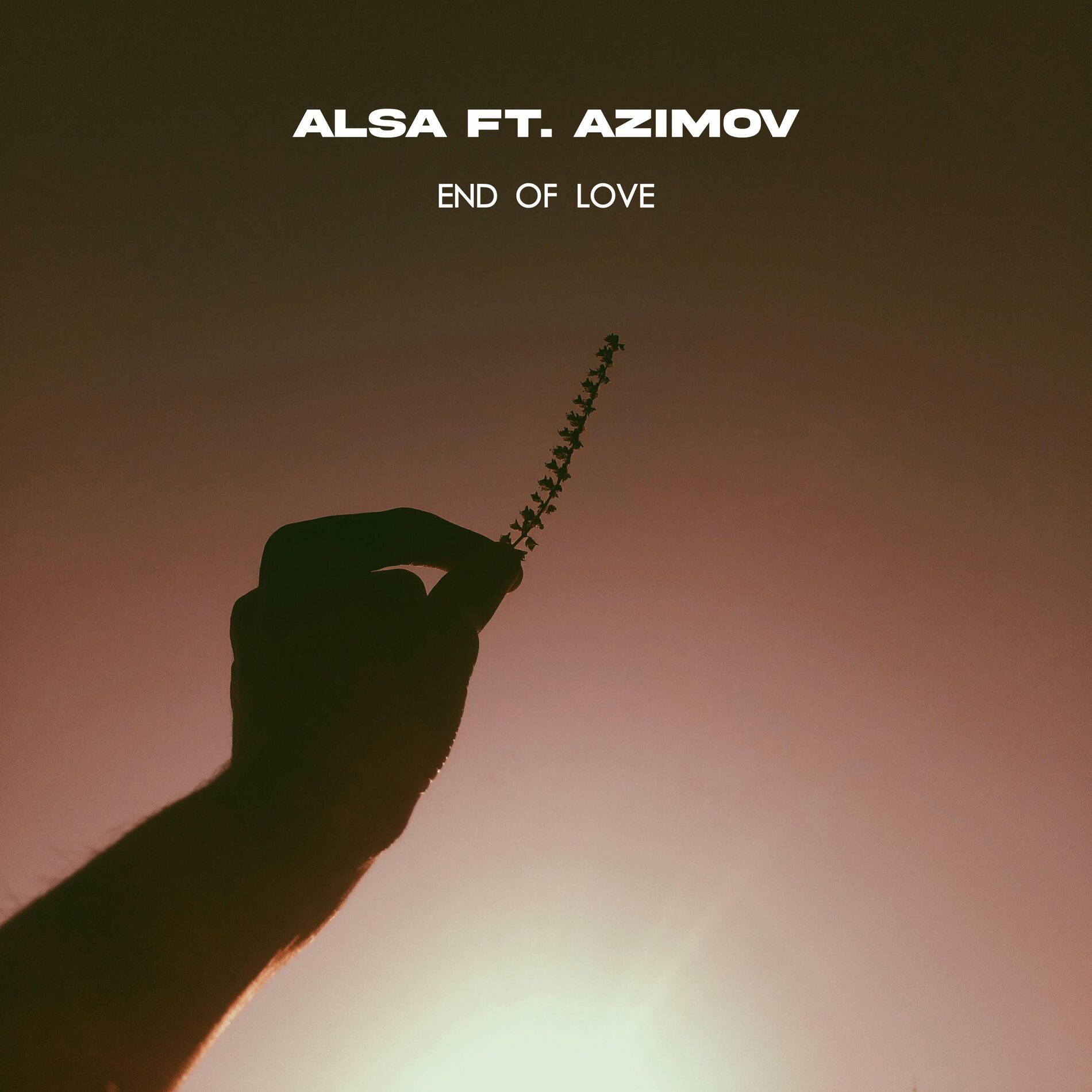 Album cover of End Of Love