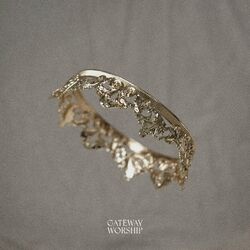 Cover of Crowns Down (Live)