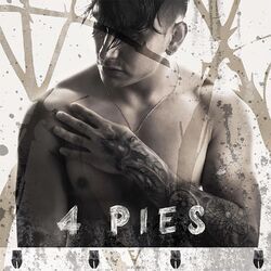 4 Pies