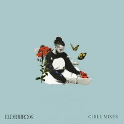 Cover of Chill Mixes