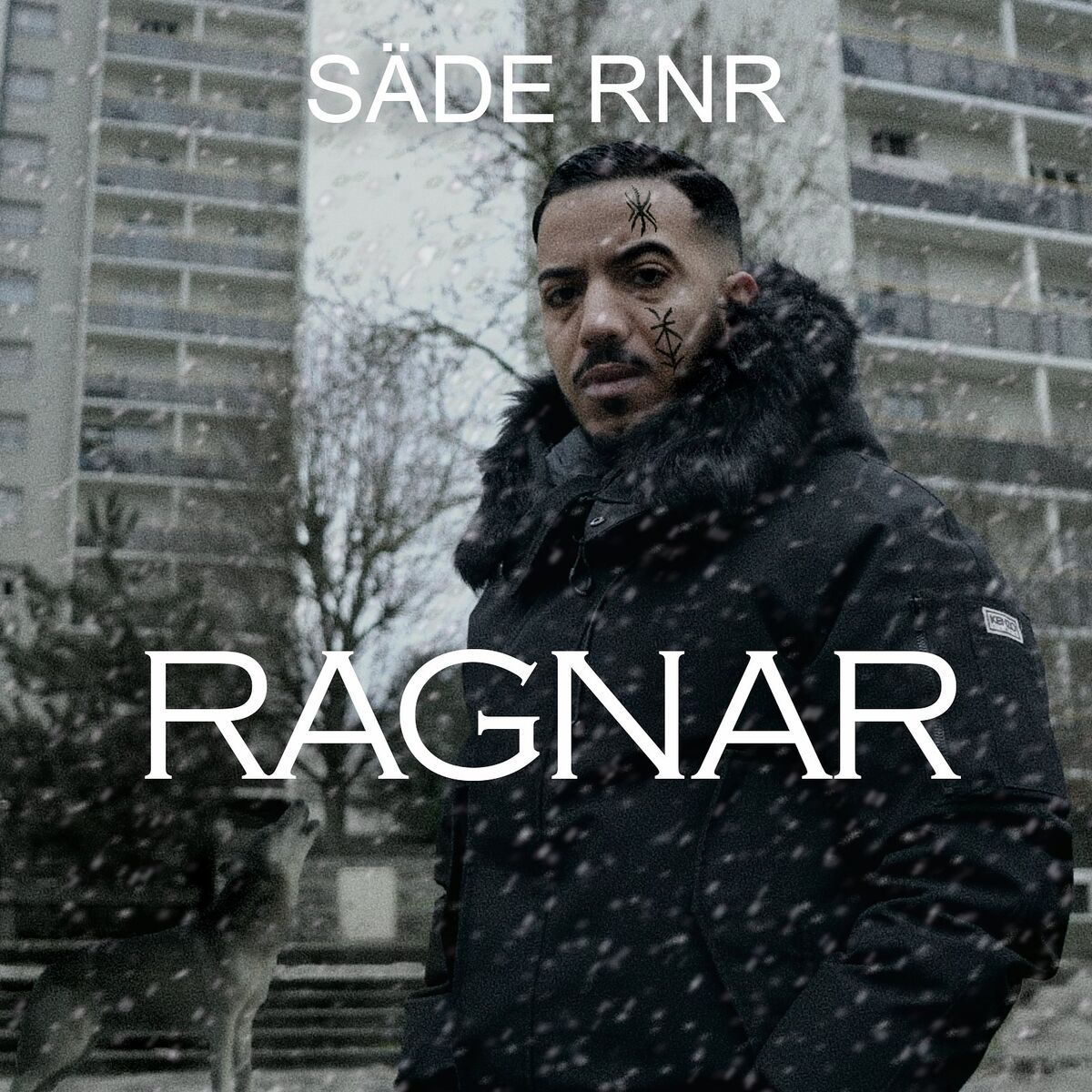 Album cover of Ragnar