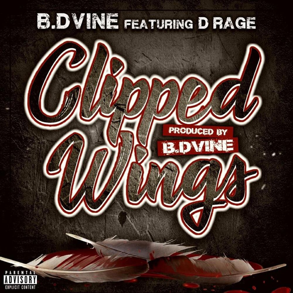 Picture of Clipped Wings (feat. D-Rage)