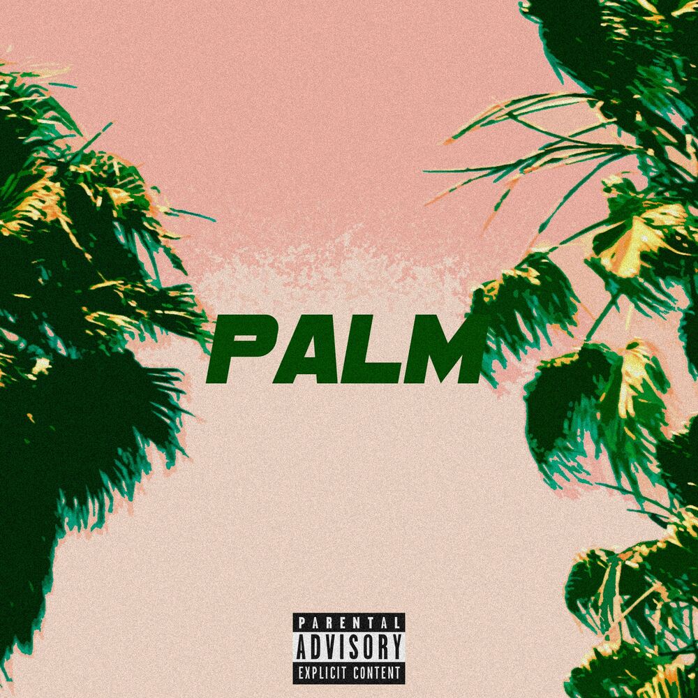 Picture of Palm