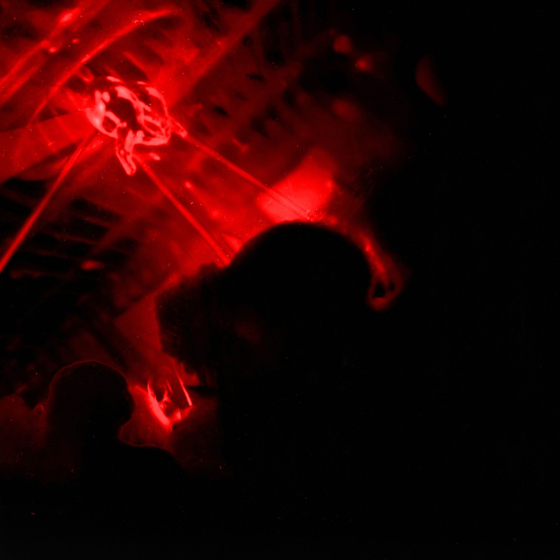 Album cover of A01 divi rot