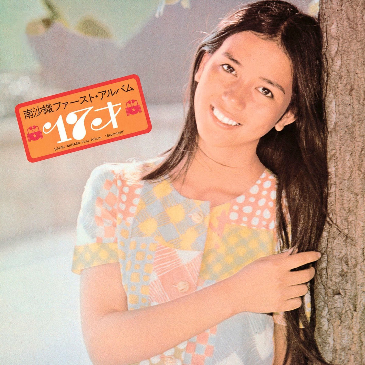 Album cover of Seventeen