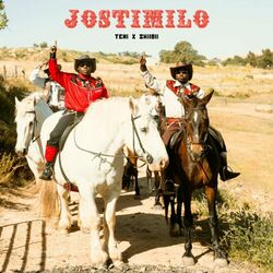 Cover of Jostimilo
