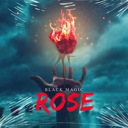 Cover of Rose