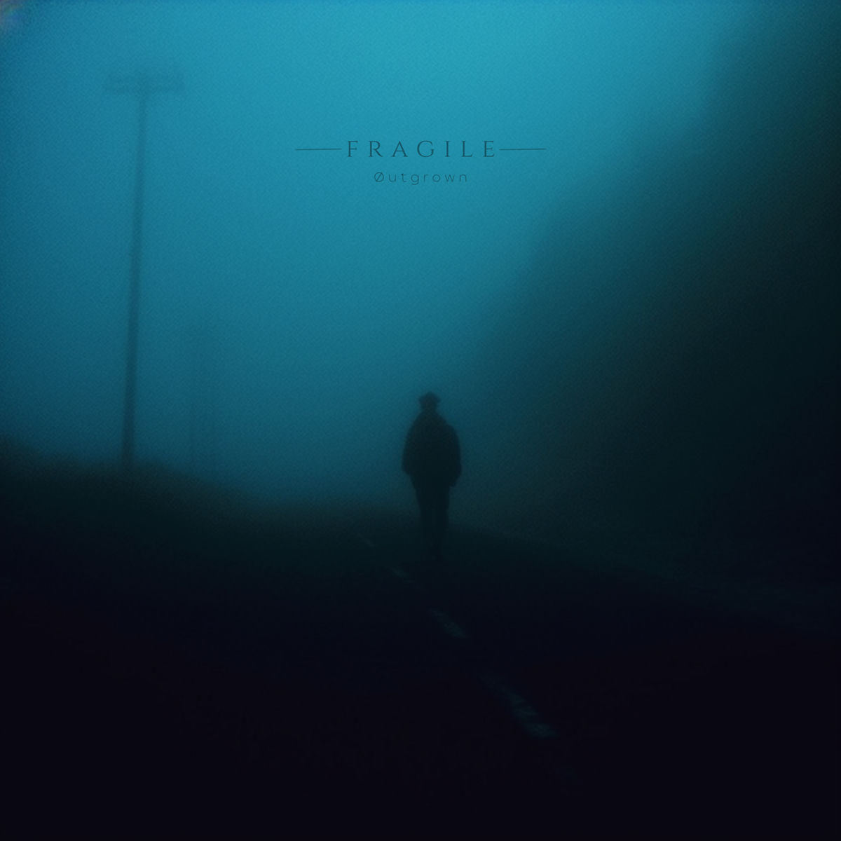 Album cover of fragile