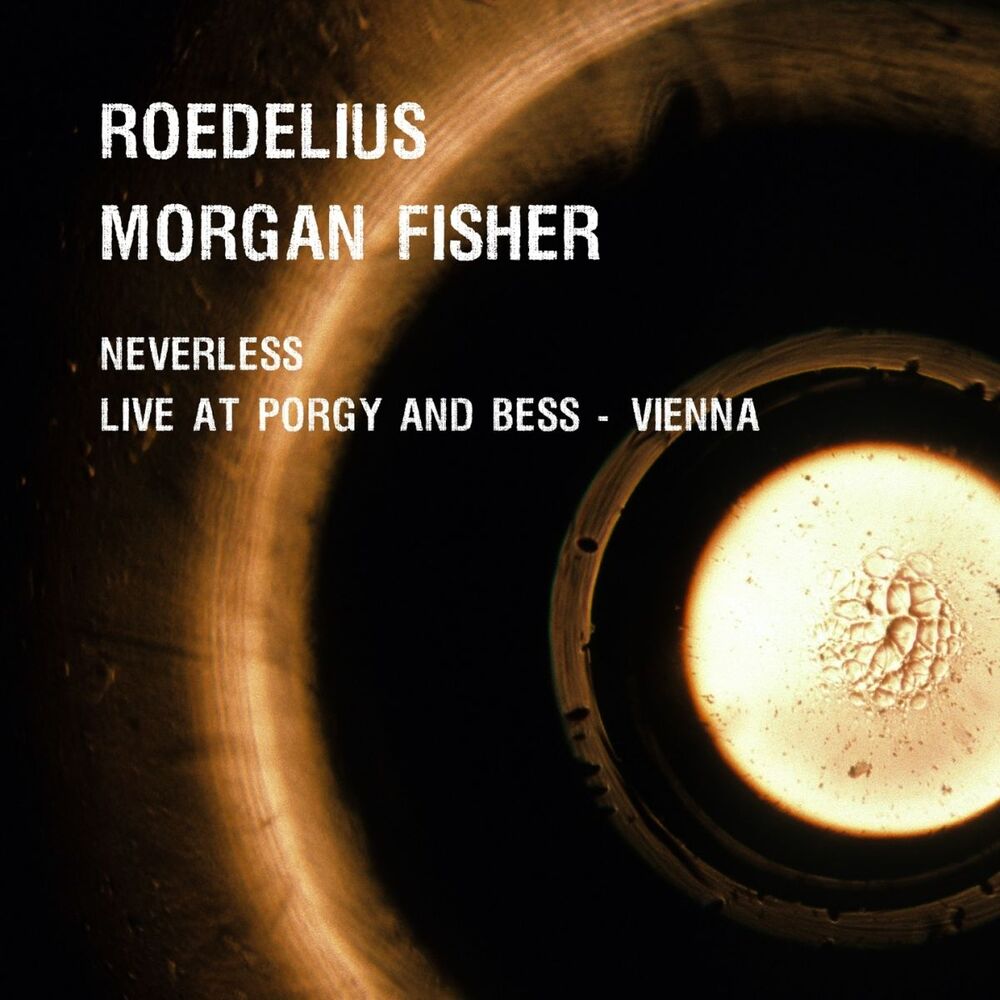 Picture of Neverless and Live at Porgy & Bess - Vienna