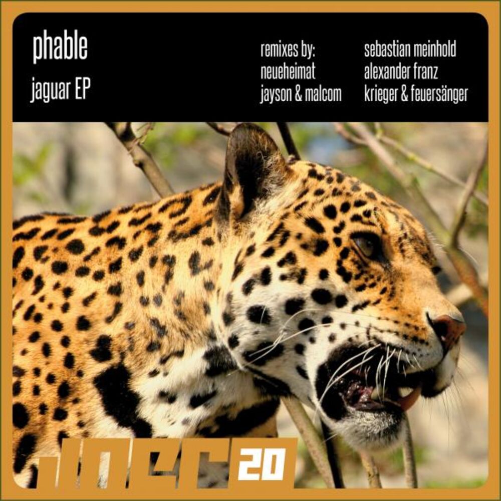 Picture of Jaguar Ep