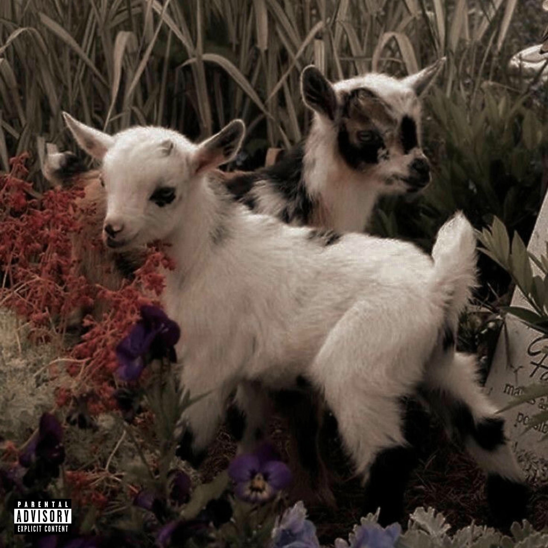 Album cover of 77*99 (expanded)!*