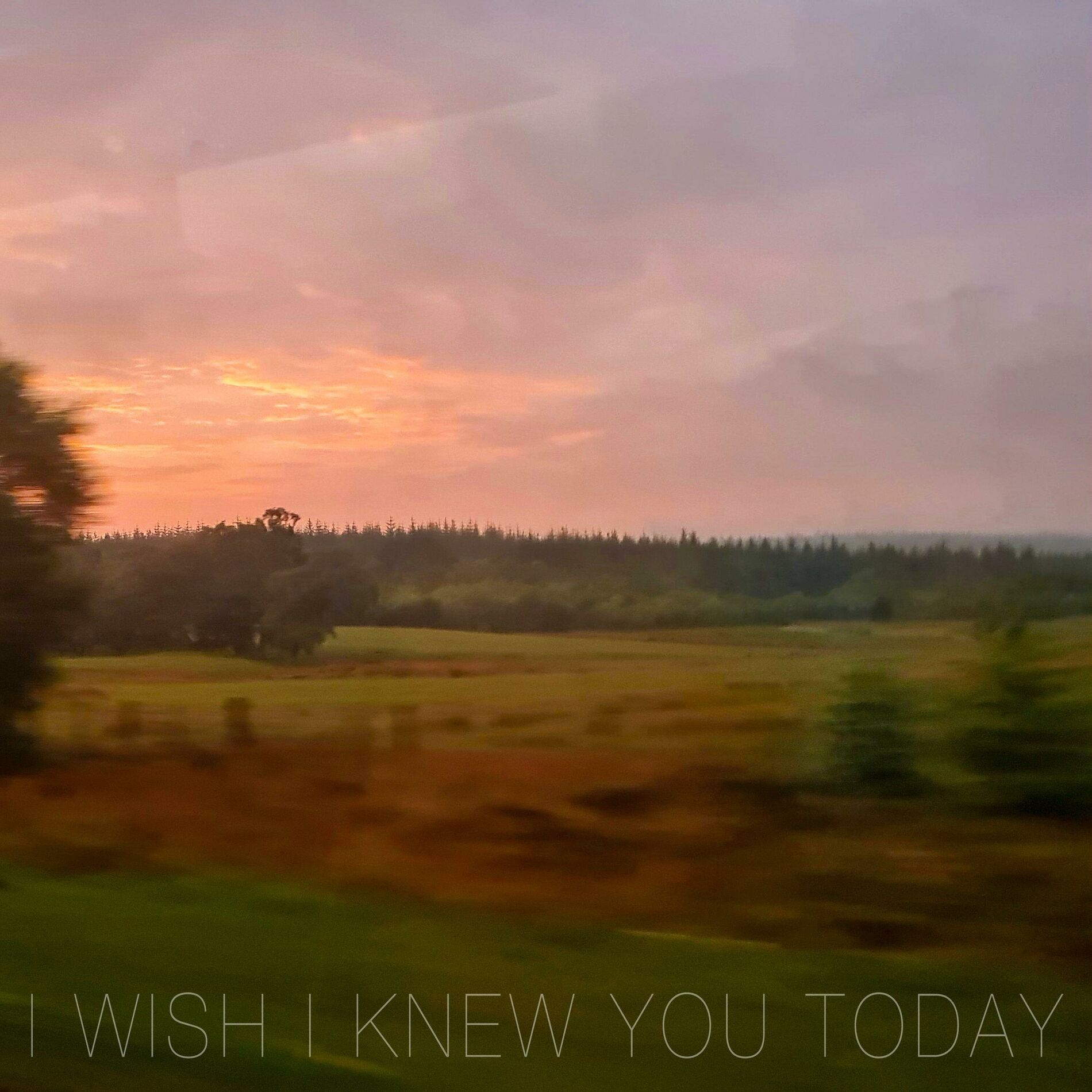 Album cover of I Wish I Knew You Today