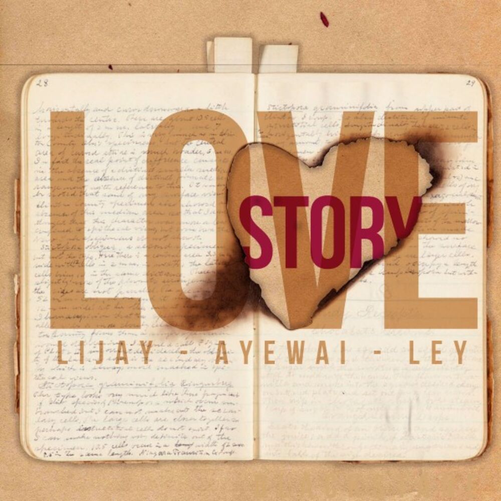 Picture of Love Story