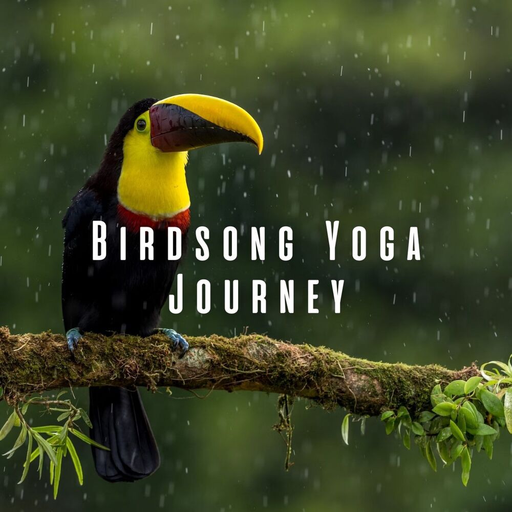 Picture of Bird Song Yoga Journey: Rain and Chill Music for Zen Flow