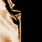 Black & Gold by Claptone album cover
