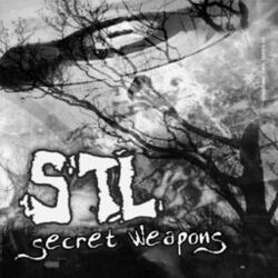 Cover of Secret Weapons