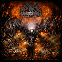 Spawn Of Possession: albums, songs, concerts | Deezer