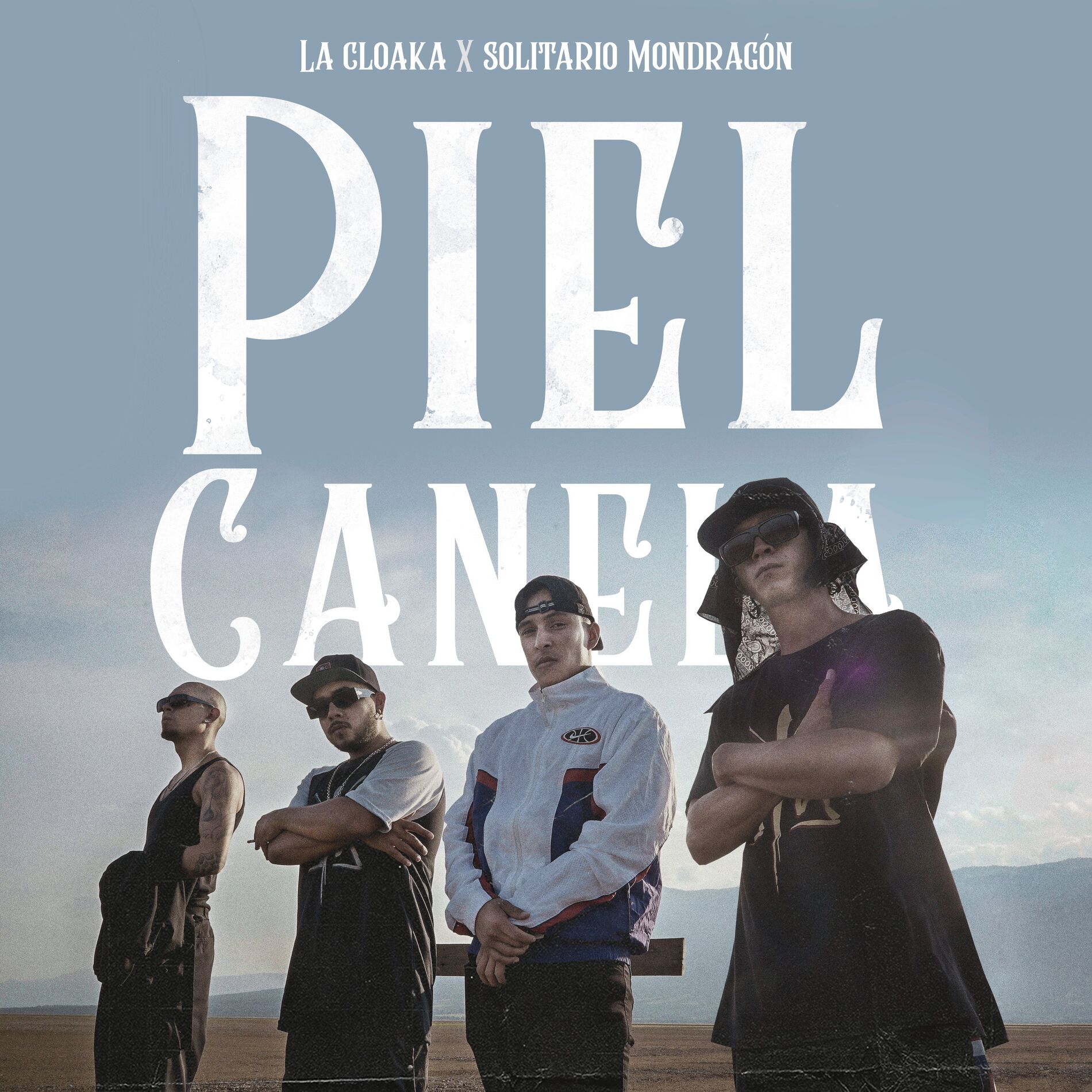 Album cover of Piel Canela