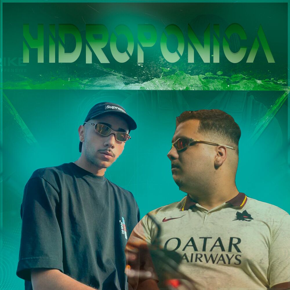 Picture of Hidropônica
