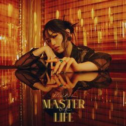 Cover of Master of Life
