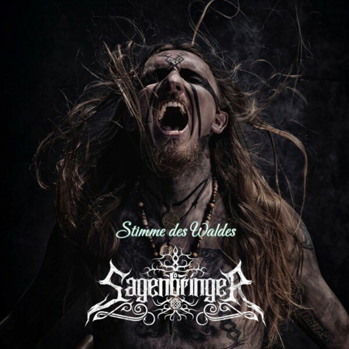 Album cover of Stimme des Waldes