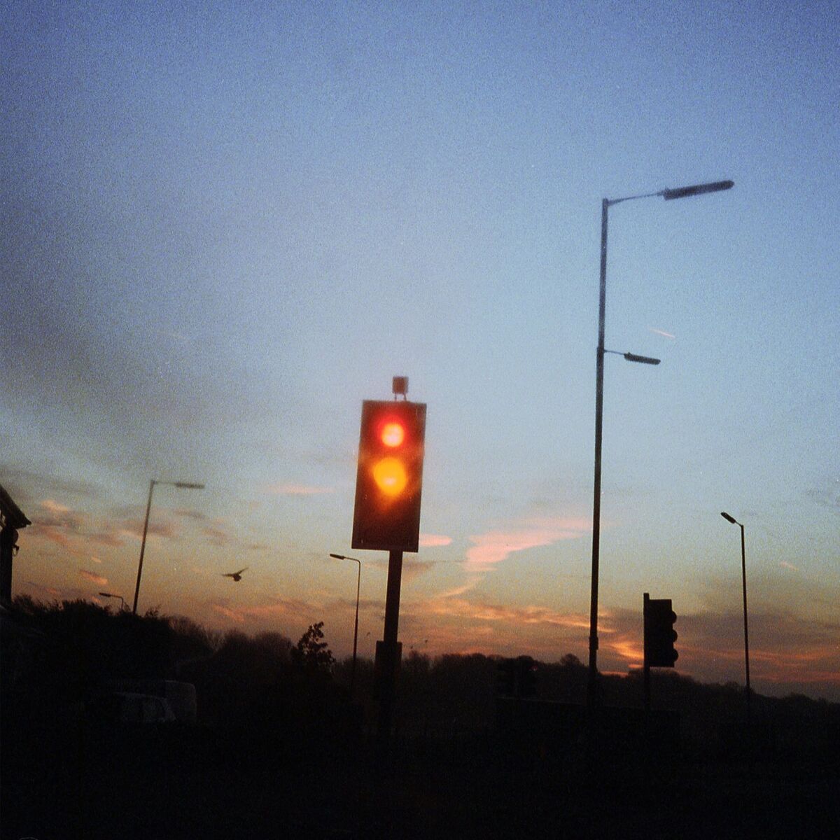 Album cover of Endless Lovers