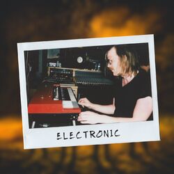 Cover of Electronic