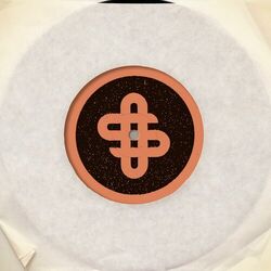 Cover of Signs of Life