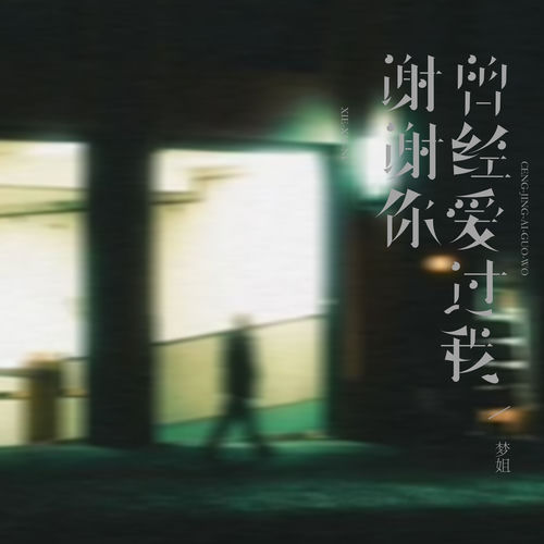 谢谢你曾经爱过我